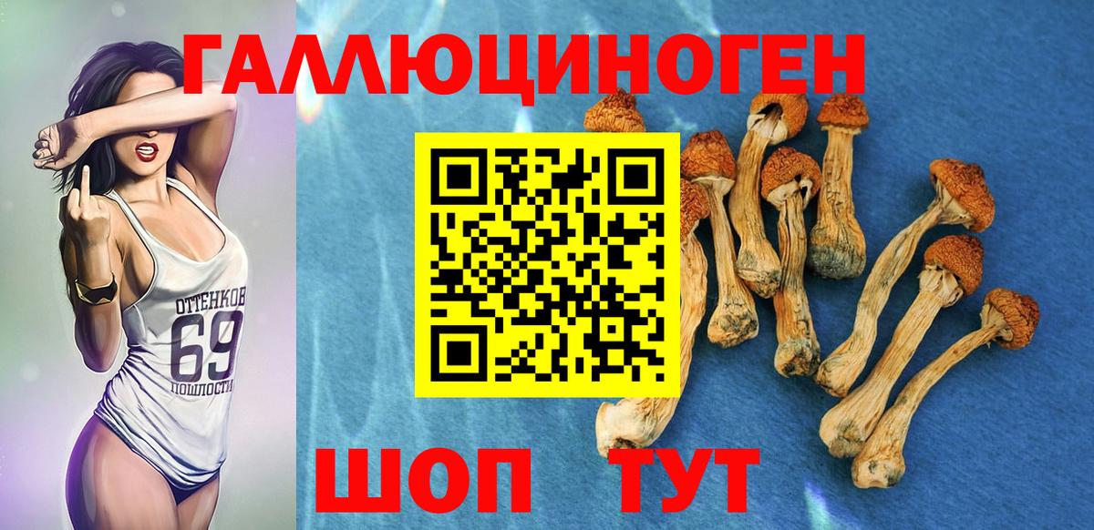 Псилоцибиновые грибы мухоморы Нефтекамск