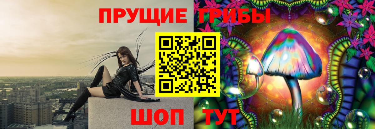 Нефтекамск  Псилоцибиновые грибы мицелий  Вход с VPN  Галлюциногенные грибы Psilocybe 